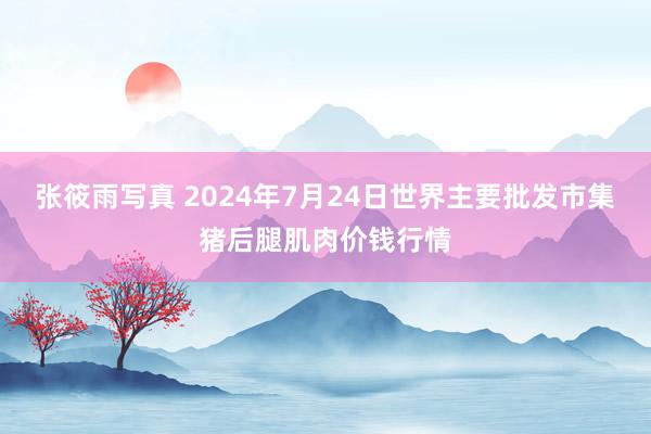 张筱雨写真 2024年7月24日世界主要批发市集猪后腿肌肉价钱行情