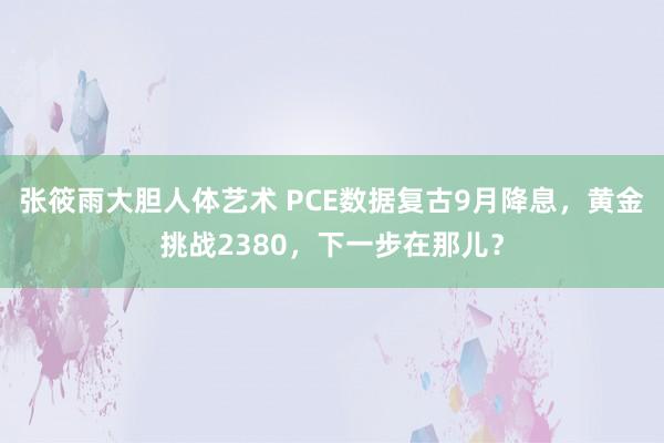 张筱雨大胆人体艺术 PCE数据复古9月降息，黄金挑战2380，下一步在那儿？