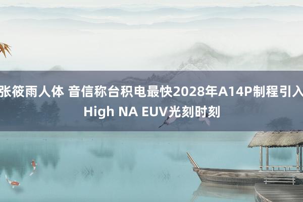 张筱雨人体 音信称台积电最快2028年A14P制程引入High NA EUV光刻时刻