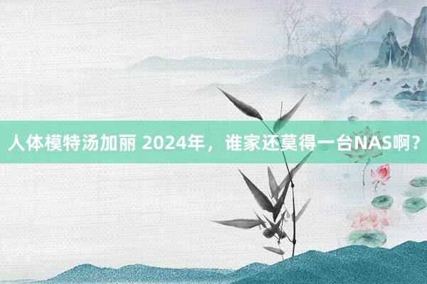 人体模特汤加丽 2024年，谁家还莫得一台NAS啊？