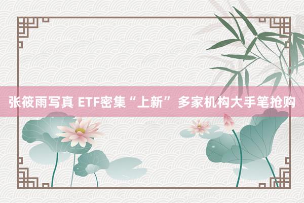 张筱雨写真 ETF密集“上新” 多家机构大手笔抢购