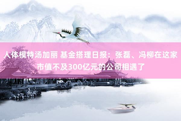 人体模特汤加丽 基金搭理日报：张磊、冯柳在这家市值不及300亿元的公司相遇了