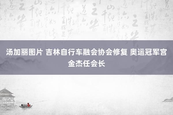 汤加丽图片 吉林自行车融会协会修复 奥运冠军宫金杰任会长