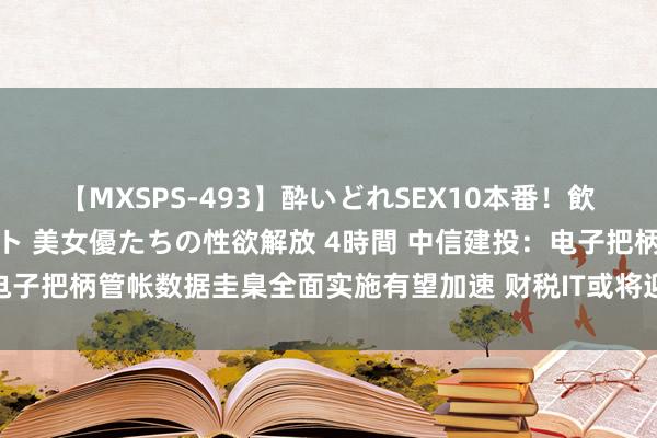 【MXSPS-493】酔いどれSEX10本番！飲んで揉まれてオールナイト 美女優たちの性欲解放 4時間 中信建投：电子把柄管帐数据圭臬全面实施有望加速 财税IT或将迎来新一轮发展机遇