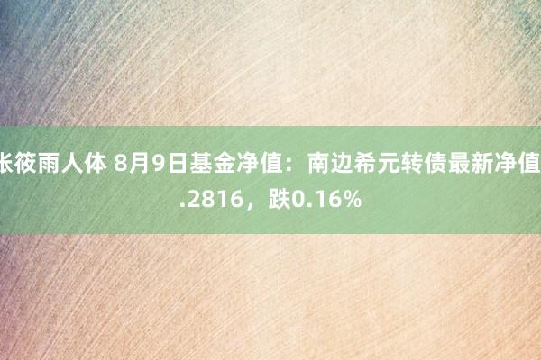 张筱雨人体 8月9日基金净值：南边希元转债最新净值1.2816，跌0.16%