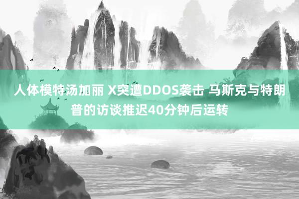 人体模特汤加丽 X突遭DDOS袭击 马斯克与特朗普的访谈推迟40分钟后运转