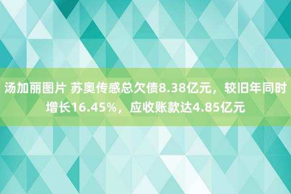 汤加丽图片 苏奥传感总欠债8.38亿元，较旧年同时增长16.45%，应收账款达4.85亿元