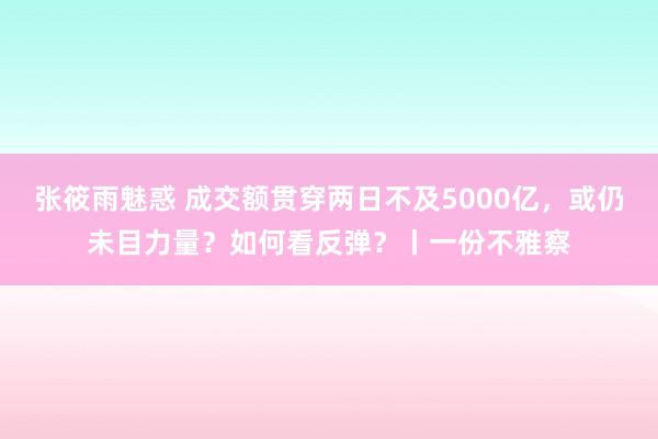 张筱雨魅惑 成交额贯穿两日不及5000亿，或仍未目力量？如何看反弹？丨一份不雅察