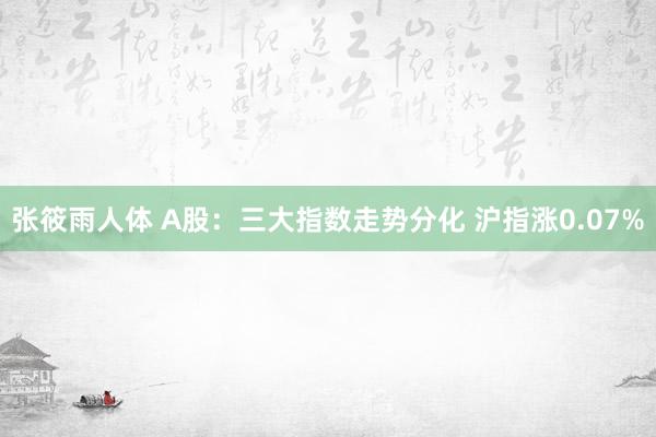 张筱雨人体 A股：三大指数走势分化 沪指涨0.07%