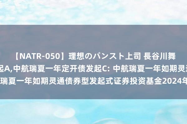 【NATR-050】理想のパンスト上司 長谷川舞 中航瑞夏一年定开债发起A,中航瑞夏一年定开债发起C: 中航瑞夏一年如期灵通债券型发起式证券投资基金2024年分成公告