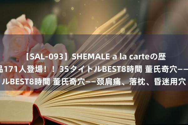 【SAL-093】SHEMALE a la carteの歴史 2008～2011 国内作品171人登場！！35タイトルBEST8時間 董氏奇穴——颈肩痛、落枕、昏迷用穴