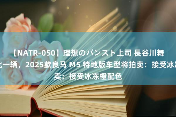 【NATR-050】理想のパンスト上司 長谷川舞 各人仅此一辆，2025款良马 M5 特地版车型将拍卖：接受冰冻橙配色