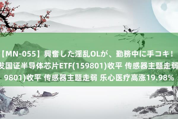 【MN-055】興奮した淫乱OLが、勤務中に手コキ！！？？ ETF最前列 | 广发国证半导体芯片ETF(159801)收平 传感器主题走弱 乐心医疗高涨19.98%