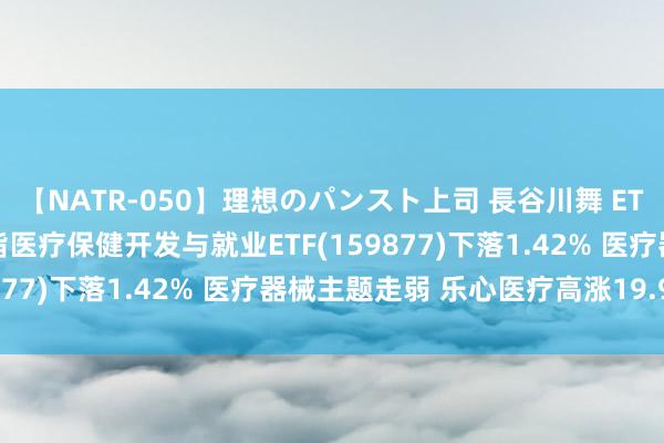 【NATR-050】理想のパンスト上司 長谷川舞 ETF最前方 | 南边中证全指医疗保健开发与就业ETF(159877)下落1.42% 医疗器械主题走弱 乐心医疗高涨19.98%