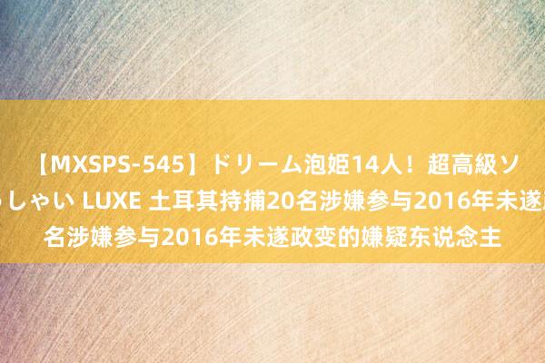 【MXSPS-545】ドリーム泡姫14人！超高級ソープランドへいらっしゃい LUXE 土耳其持捕20名涉嫌参与2016年未遂政变的嫌疑东说念主