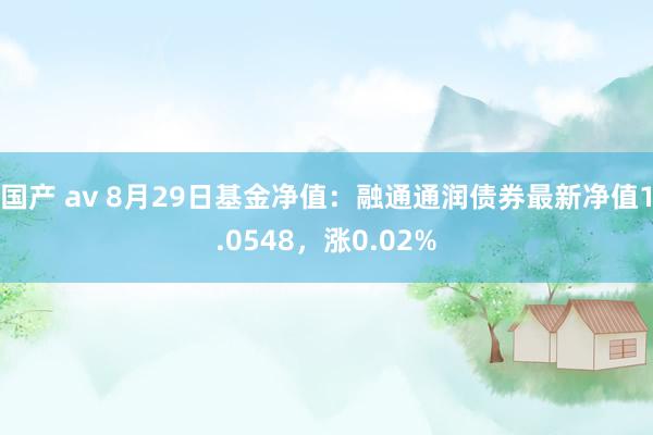 国产 av 8月29日基金净值：融通通润债券最新净值1.0548，涨0.02%