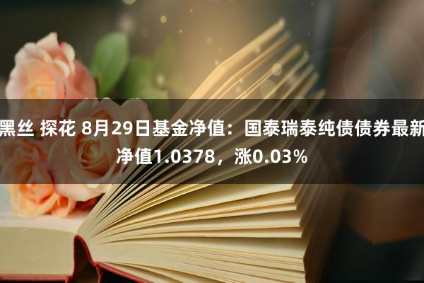 黑丝 探花 8月29日基金净值：国泰瑞泰纯债债券最新净值1.0378，涨0.03%