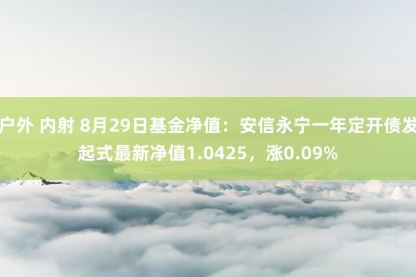 户外 内射 8月29日基金净值：安信永宁一年定开债发起式最新净值1.0425，涨0.09%