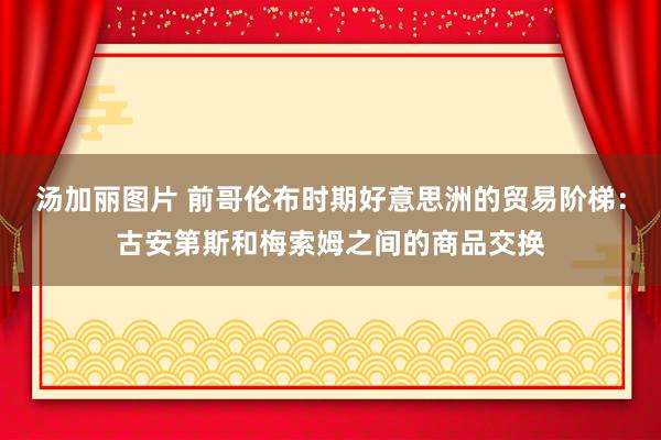 汤加丽图片 前哥伦布时期好意思洲的贸易阶梯：古安第斯和梅索姆之间的商品交换