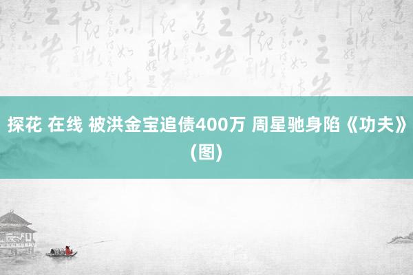 探花 在线 被洪金宝追债400万 周星驰身陷《功夫》(图)