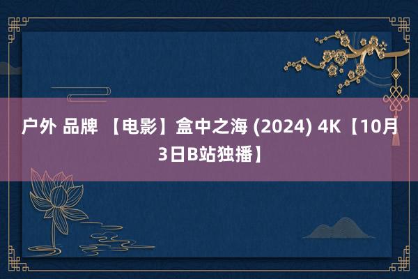 户外 品牌 【电影】盒中之海 (2024) 4K【10月3日B站独播】