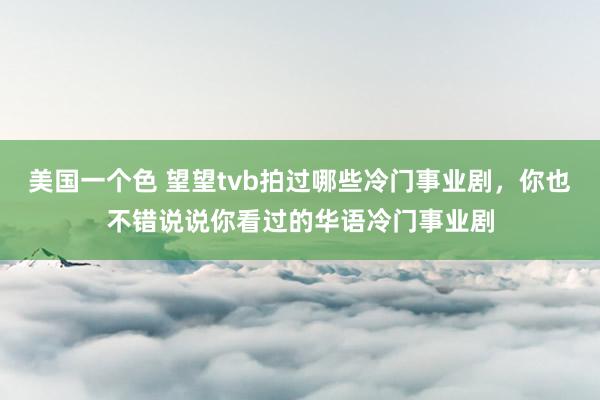 美国一个色 望望tvb拍过哪些冷门事业剧，你也不错说说你看过的华语冷门事业剧