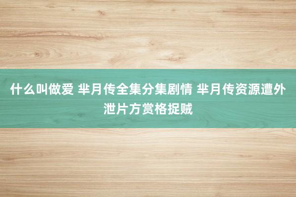 什么叫做爱 芈月传全集分集剧情 芈月传资源遭外泄片方赏格捉贼