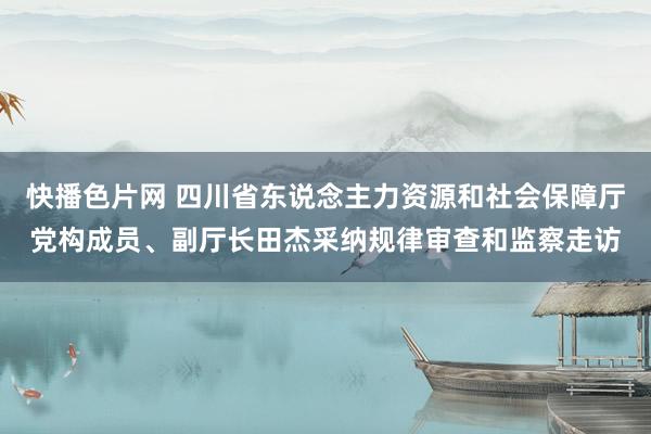 快播色片网 四川省东说念主力资源和社会保障厅党构成员、副厅长田杰采纳规律审查和监察走访