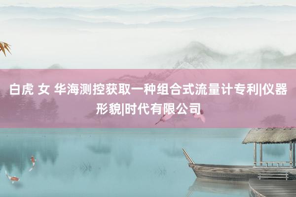 白虎 女 华海测控获取一种组合式流量计专利|仪器形貌|时代有限公司