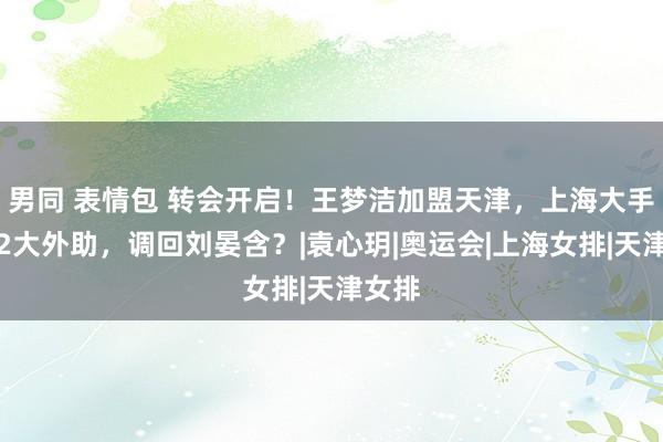 男同 表情包 转会开启！王梦洁加盟天津，上海大手笔买2大外助，调回刘晏含？|袁心玥|奥运会|上海女排|天津女排