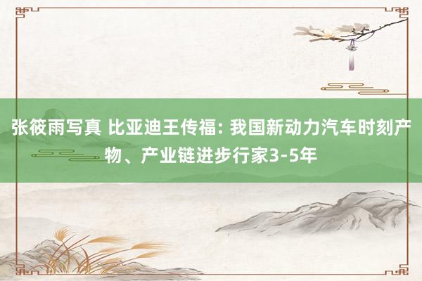 张筱雨写真 比亚迪王传福: 我国新动力汽车时刻产物、产业链进步行家3-5年